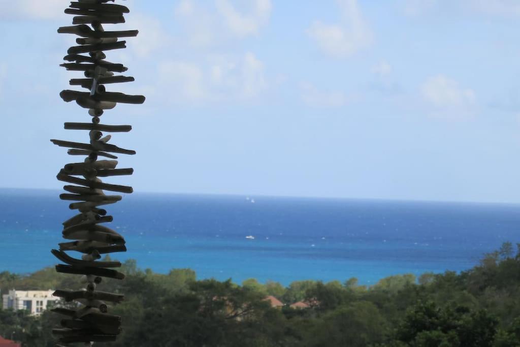 La Villa Coconut Vue A 180° Mer Rocher Du Diamant 勒迪亚芒 外观 照片